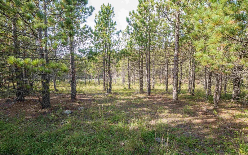 3 Crosscut Way, Davis, West Virginia 26260, 0 , 0 ,0,Lots/land,For Sale,Crosscut,0,10167026