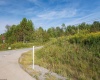 3 Crosscut Way, Davis, West Virginia 26260, 0 , 0 ,0,Lots/land,For Sale,Crosscut,0,10167026