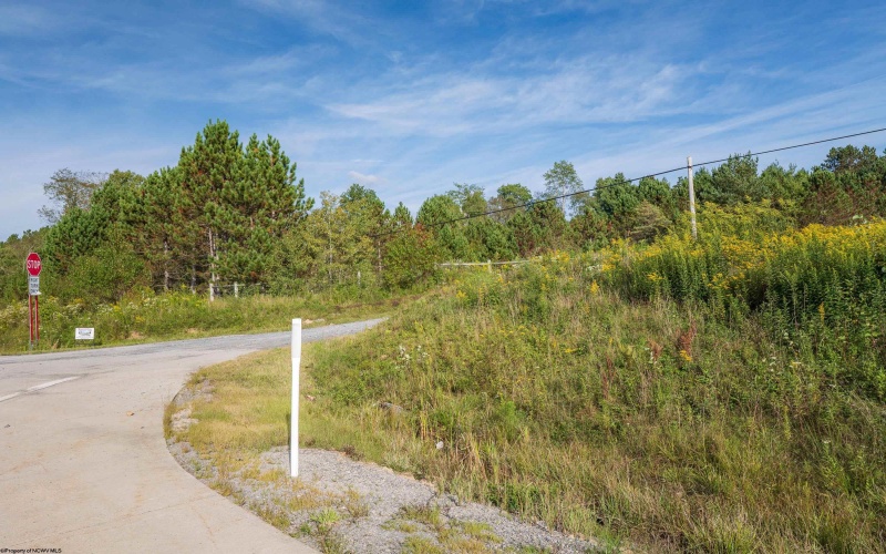 3 Crosscut Way, Davis, West Virginia 26260, 0 , 0 ,0,Lots/land,For Sale,Crosscut,0,10167026