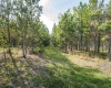 3 Crosscut Way, Davis, West Virginia 26260, 0 , 0 ,0,Lots/land,For Sale,Crosscut,0,10167026