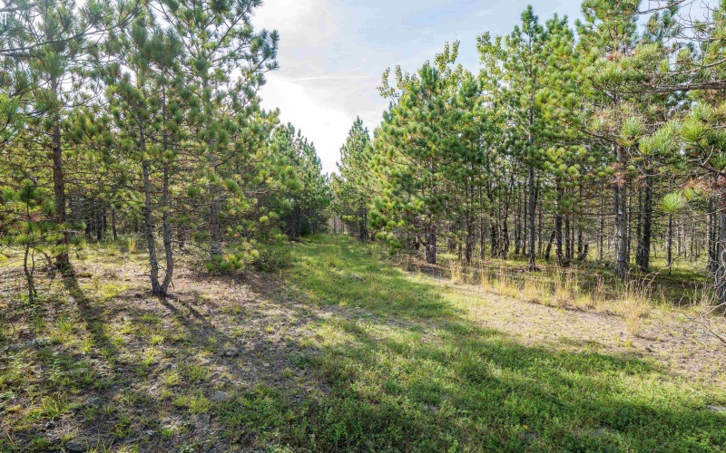 3 Crosscut Way, Davis, West Virginia 26260, 0 , 0 ,0,Lots/land,For Sale,Crosscut,0,10167026