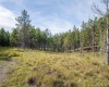 3 Crosscut Way, Davis, West Virginia 26260, 0 , 0 ,0,Lots/land,For Sale,Crosscut,0,10167026