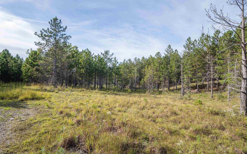 3 Crosscut Way, Davis, West Virginia 26260, 0 , 0 ,0,Lots/land,For Sale,Crosscut,0,10167026
