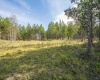 3 Crosscut Way, Davis, West Virginia 26260, 0 , 0 ,0,Lots/land,For Sale,Crosscut,0,10167026