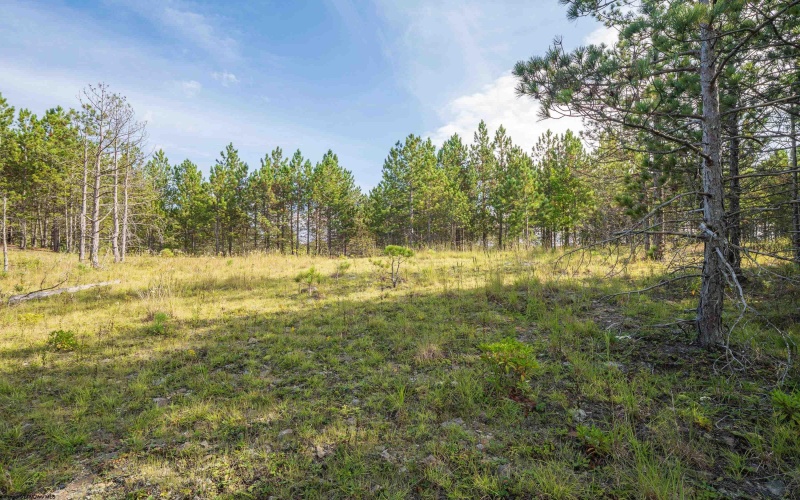 3 Crosscut Way, Davis, West Virginia 26260, 0 , 0 ,0,Lots/land,For Sale,Crosscut,0,10167026