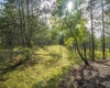 3 Crosscut Way, Davis, West Virginia 26260, 0 , 0 ,0,Lots/land,For Sale,Crosscut,0,10167026