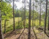 3 Crosscut Way, Davis, West Virginia 26260, 0 , 0 ,0,Lots/land,For Sale,Crosscut,0,10167026