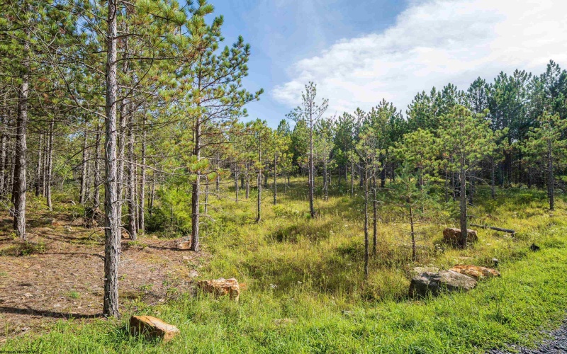 3 Crosscut Way, Davis, West Virginia 26260, 0 , 0 ,0,Lots/land,For Sale,Crosscut,0,10167026