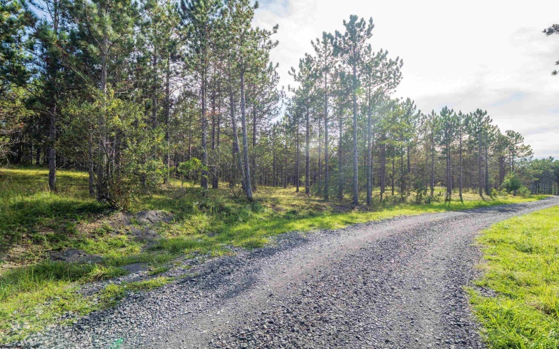 3 Crosscut Way, Davis, West Virginia 26260, 0 , 0 ,0,Lots/land,For Sale,Crosscut,0,10167026