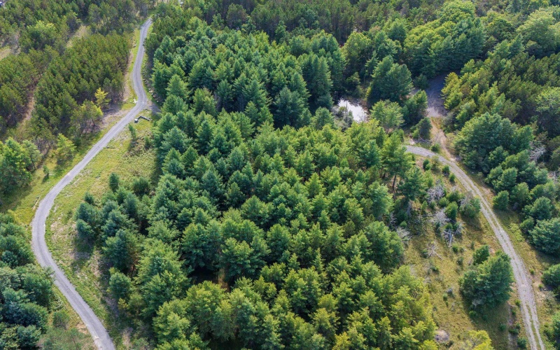 10 Pyrite Lane, Davis, West Virginia 26260, 0 , 0 ,0,Lots/land,For Sale,Pyrite,0,10167027 10 Pyrite Lane, Davis, West Virginia 26260, 0 , 0 ,0,Lots/land,For Sale,Pyrite,0,10167027