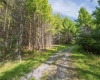 10 Pyrite Lane, Davis, West Virginia 26260, 0 , 0 ,0,Lots/land,For Sale,Pyrite,0,10167027 10 Pyrite Lane, Davis, West Virginia 26260, 0 , 0 ,0,Lots/land,For Sale,Pyrite,0,10167027