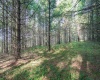 10 Pyrite Lane, Davis, West Virginia 26260, 0 , 0 ,0,Lots/land,For Sale,Pyrite,0,10167027 10 Pyrite Lane, Davis, West Virginia 26260, 0 , 0 ,0,Lots/land,For Sale,Pyrite,0,10167027