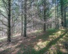 10 Pyrite Lane, Davis, West Virginia 26260, 0 , 0 ,0,Lots/land,For Sale,Pyrite,0,10167027 10 Pyrite Lane, Davis, West Virginia 26260, 0 , 0 ,0,Lots/land,For Sale,Pyrite,0,10167027