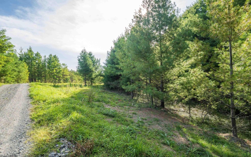 10 Pyrite Lane, Davis, West Virginia 26260, 0 , 0 ,0,Lots/land,For Sale,Pyrite,0,10167027 10 Pyrite Lane, Davis, West Virginia 26260, 0 , 0 ,0,Lots/land,For Sale,Pyrite,0,10167027