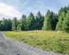 10 Pyrite Lane, Davis, West Virginia 26260, 0 , 0 ,0,Lots/land,For Sale,Pyrite,0,10167027 10 Pyrite Lane, Davis, West Virginia 26260, 0 , 0 ,0,Lots/land,For Sale,Pyrite,0,10167027