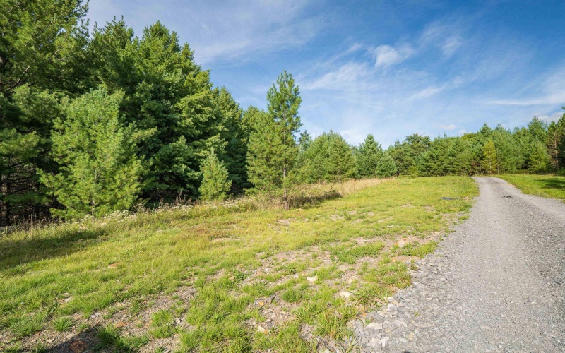 10 Pyrite Lane, Davis, West Virginia 26260, 0 , 0 ,0,Lots/land,For Sale,Pyrite,0,10167027 10 Pyrite Lane, Davis, West Virginia 26260, 0 , 0 ,0,Lots/land,For Sale,Pyrite,0,10167027