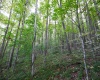 Lot 1 England Road, Philippi, West Virginia 26416, 0 , 0 ,0,Lots/land,For Sale,England,0,10167036