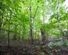 Lot 1 England Road, Philippi, West Virginia 26416, 0 , 0 ,0,Lots/land,For Sale,England,0,10167036