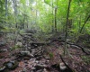 Lot 1 England Road, Philippi, West Virginia 26416, 0 , 0 ,0,Lots/land,For Sale,England,0,10167036