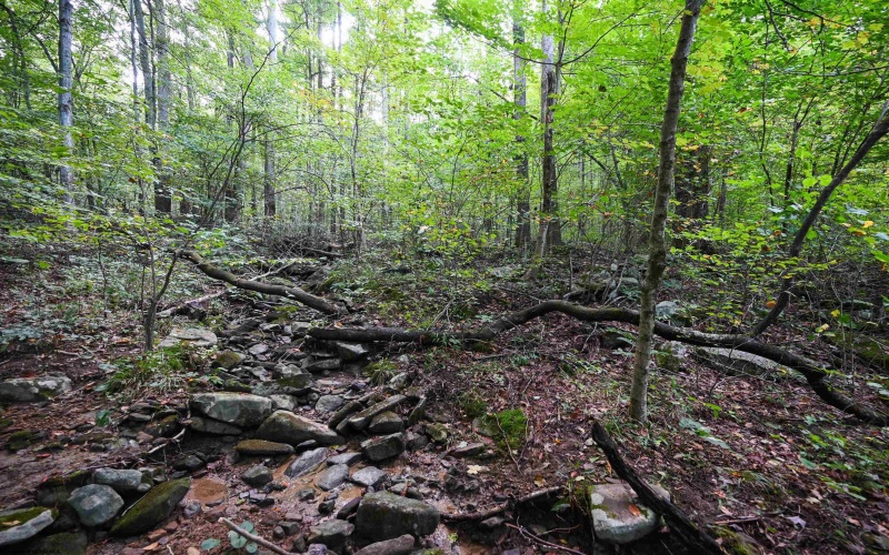 Lot 1 England Road, Philippi, West Virginia 26416, 0 , 0 ,0,Lots/land,For Sale,England,0,10167036