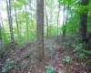 Lot 1 England Road, Philippi, West Virginia 26416, 0 , 0 ,0,Lots/land,For Sale,England,0,10167036