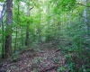 Lot 1 England Road, Philippi, West Virginia 26416, 0 , 0 ,0,Lots/land,For Sale,England,0,10167036