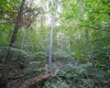 Lot 1 England Road, Philippi, West Virginia 26416, 0 , 0 ,0,Lots/land,For Sale,England,0,10167036