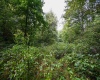 Lot 1 England Road, Philippi, West Virginia 26416, 0 , 0 ,0,Lots/land,For Sale,England,0,10167036