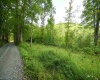 Lot 1 England Road, Philippi, West Virginia 26416, 0 , 0 ,0,Lots/land,For Sale,England,0,10167036