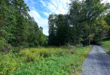 Lot 1 England Road, Philippi, West Virginia 26416, 0 , 0 ,0,Lots/land,For Sale,England,0,10167036