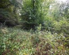 Lot 1 England Road, Philippi, West Virginia 26416, 0 , 0 ,0,Lots/land,For Sale,England,0,10167036