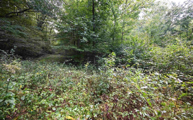 Lot 1 England Road, Philippi, West Virginia 26416, 0 , 0 ,0,Lots/land,For Sale,England,0,10167036