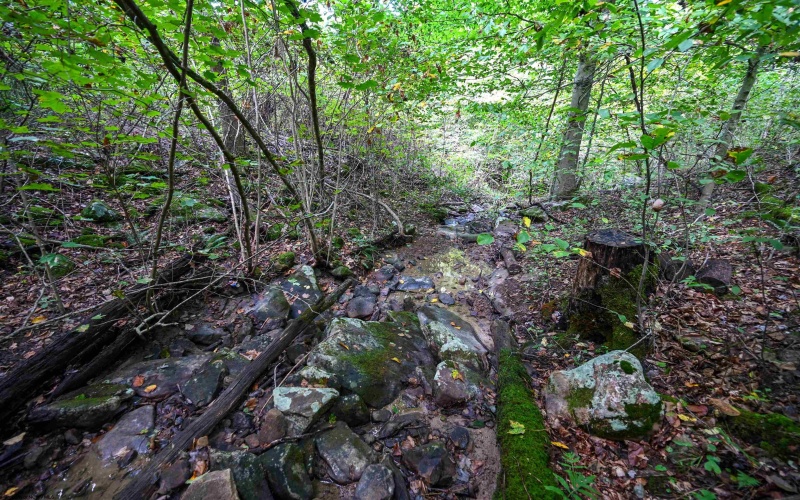Lot 1 England Road, Philippi, West Virginia 26416, 0 , 0 ,0,Lots/land,For Sale,England,0,10167036