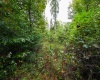 Lot 1 England Road, Philippi, West Virginia 26416, 0 , 0 ,0,Lots/land,For Sale,England,0,10167036