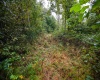 Lot 1 England Road, Philippi, West Virginia 26416, 0 , 0 ,0,Lots/land,For Sale,England,0,10167036