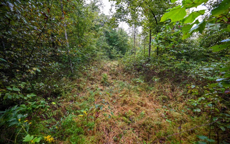 Lot 1 England Road, Philippi, West Virginia 26416, 0 , 0 ,0,Lots/land,For Sale,England,0,10167036