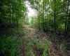 Lot 1 England Road, Philippi, West Virginia 26416, 0 , 0 ,0,Lots/land,For Sale,England,0,10167036