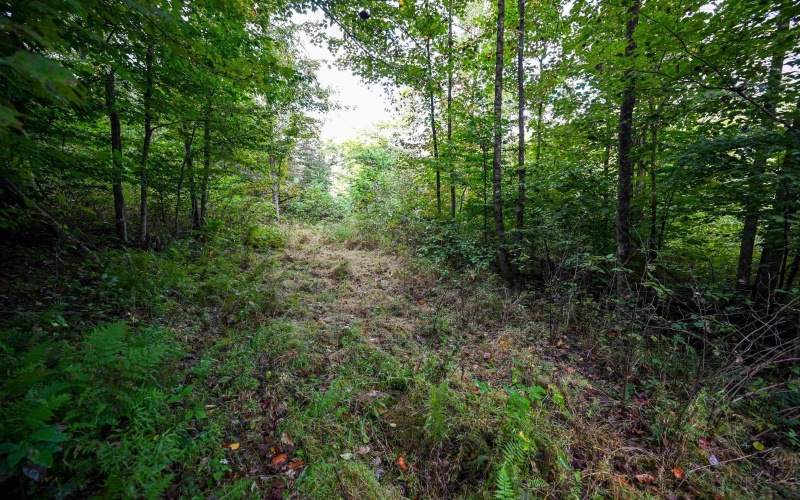 Lot 1 England Road, Philippi, West Virginia 26416, 0 , 0 ,0,Lots/land,For Sale,England,0,10167036