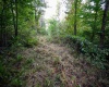 Lot 1 England Road, Philippi, West Virginia 26416, 0 , 0 ,0,Lots/land,For Sale,England,0,10167036