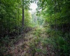 Lot 1 England Road, Philippi, West Virginia 26416, 0 , 0 ,0,Lots/land,For Sale,England,0,10167036