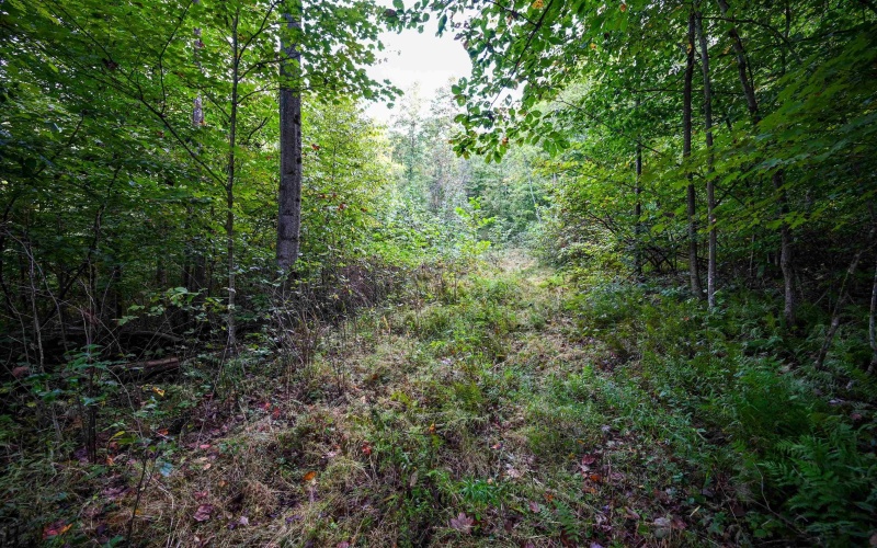 Lot 1 England Road, Philippi, West Virginia 26416, 0 , 0 ,0,Lots/land,For Sale,England,0,10167036