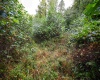 Lot 1 England Road, Philippi, West Virginia 26416, 0 , 0 ,0,Lots/land,For Sale,England,0,10167036