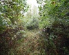 Lot 1 England Road, Philippi, West Virginia 26416, 0 , 0 ,0,Lots/land,For Sale,England,0,10167036