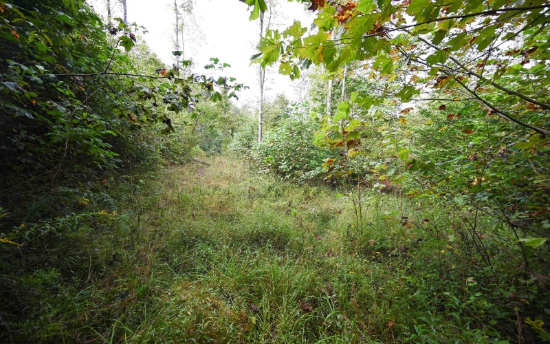 Lot 1 England Road, Philippi, West Virginia 26416, 0 , 0 ,0,Lots/land,For Sale,England,0,10167036