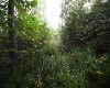 Lot 1 England Road, Philippi, West Virginia 26416, 0 , 0 ,0,Lots/land,For Sale,England,0,10167036