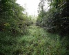 Lot 1 England Road, Philippi, West Virginia 26416, 0 , 0 ,0,Lots/land,For Sale,England,0,10167036