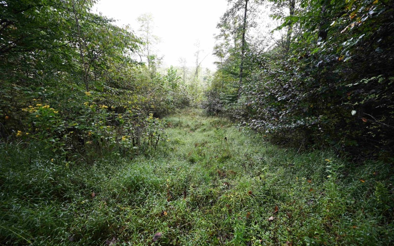 Lot 1 England Road, Philippi, West Virginia 26416, 0 , 0 ,0,Lots/land,For Sale,England,0,10167036