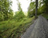 Lot 1 England Road, Philippi, West Virginia 26416, 0 , 0 ,0,Lots/land,For Sale,England,0,10167036