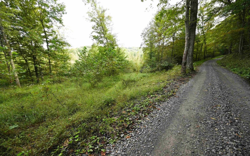 Lot 1 England Road, Philippi, West Virginia 26416, 0 , 0 ,0,Lots/land,For Sale,England,0,10167036