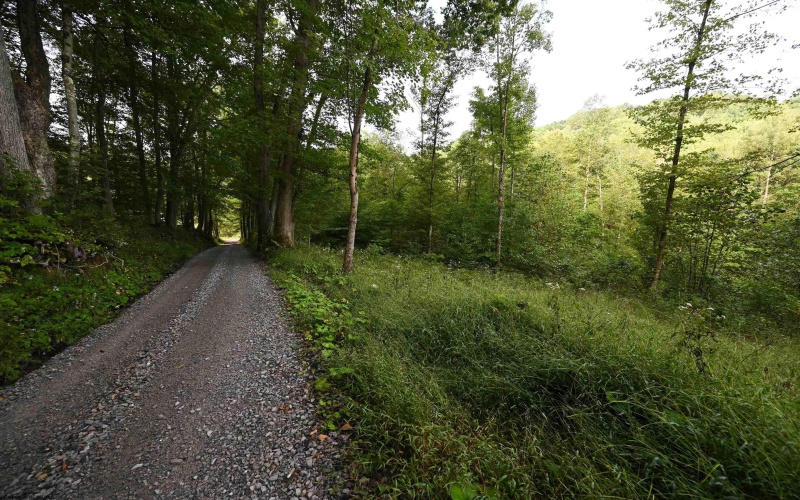 Lot 1 England Road, Philippi, West Virginia 26416, 0 , 0 ,0,Lots/land,For Sale,England,0,10167036